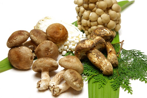 close up shot of various raw mushrooms
